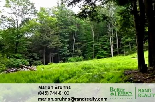 Homes for Sale - KERNESS Road Greenfield Park NY 12435 - Marion Bruhns