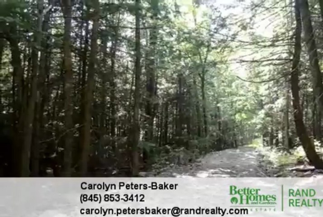 Homes for Sale - IRISH CAPE Road Napanoch NY 12458 - Carolyn Peters-Baker