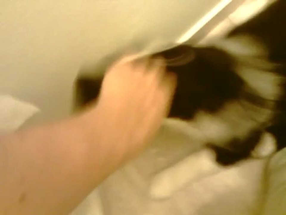 VIDEO0227