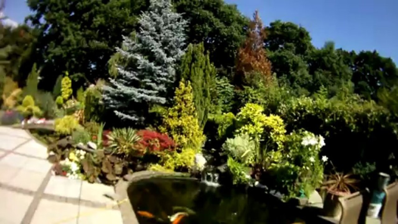 Pond Specialists