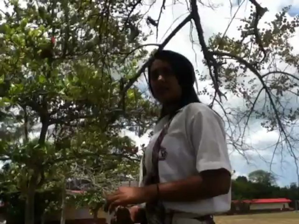 Tornado Attack