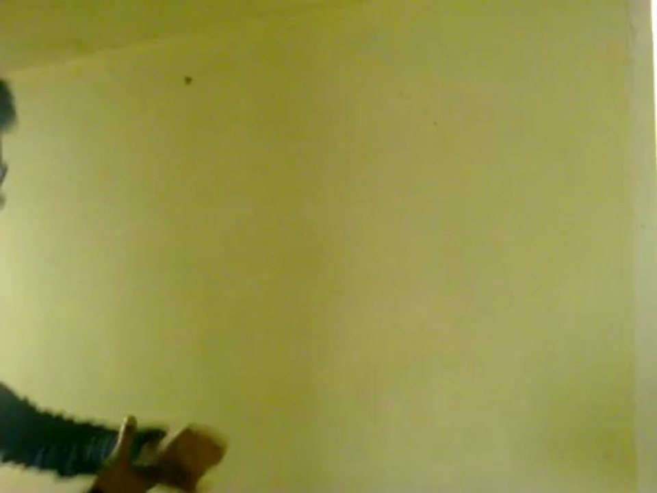 video0002_1_xvid