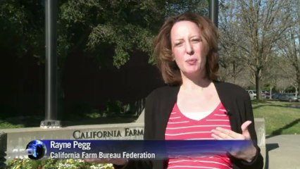 US farmers, farm hands, look to immigration reform