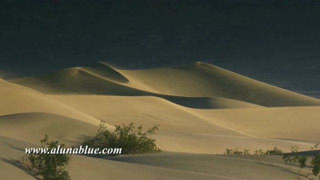 Stock Video - Dunes 03 - Stock Footage - Video Backgrounds