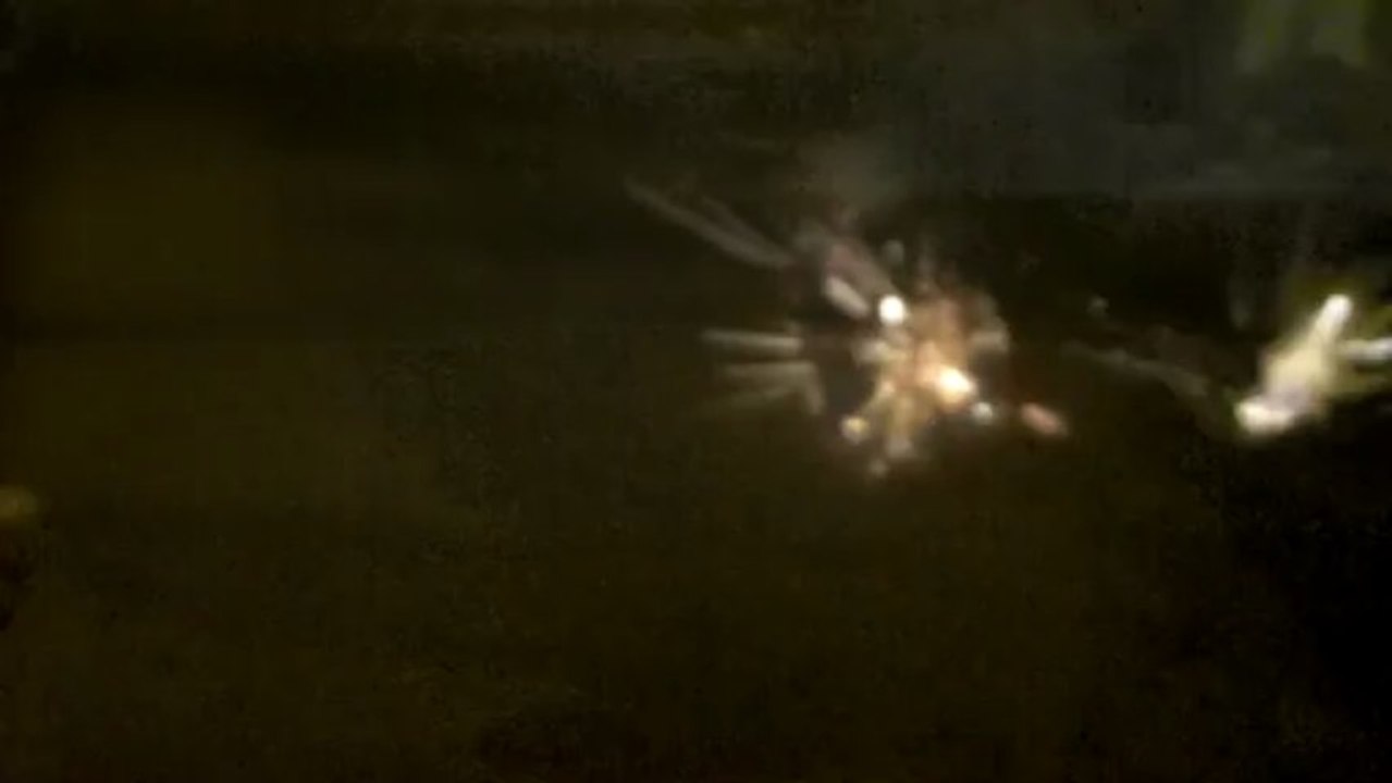 IMAG0031