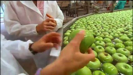 Espai Terra - dimecres 20 de març