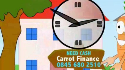 So Cute CARROT Cartoon Character Animation