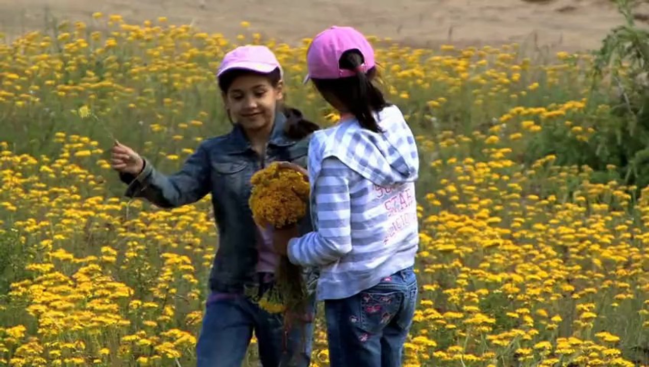 Documentary on Biodiversity - GEF