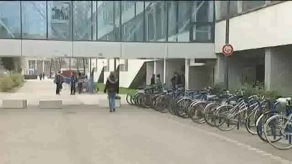 Stages en entreprise