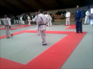 Jujitsu Fighting Moselle