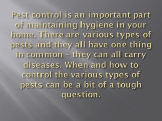 Controlling Pests in the Home