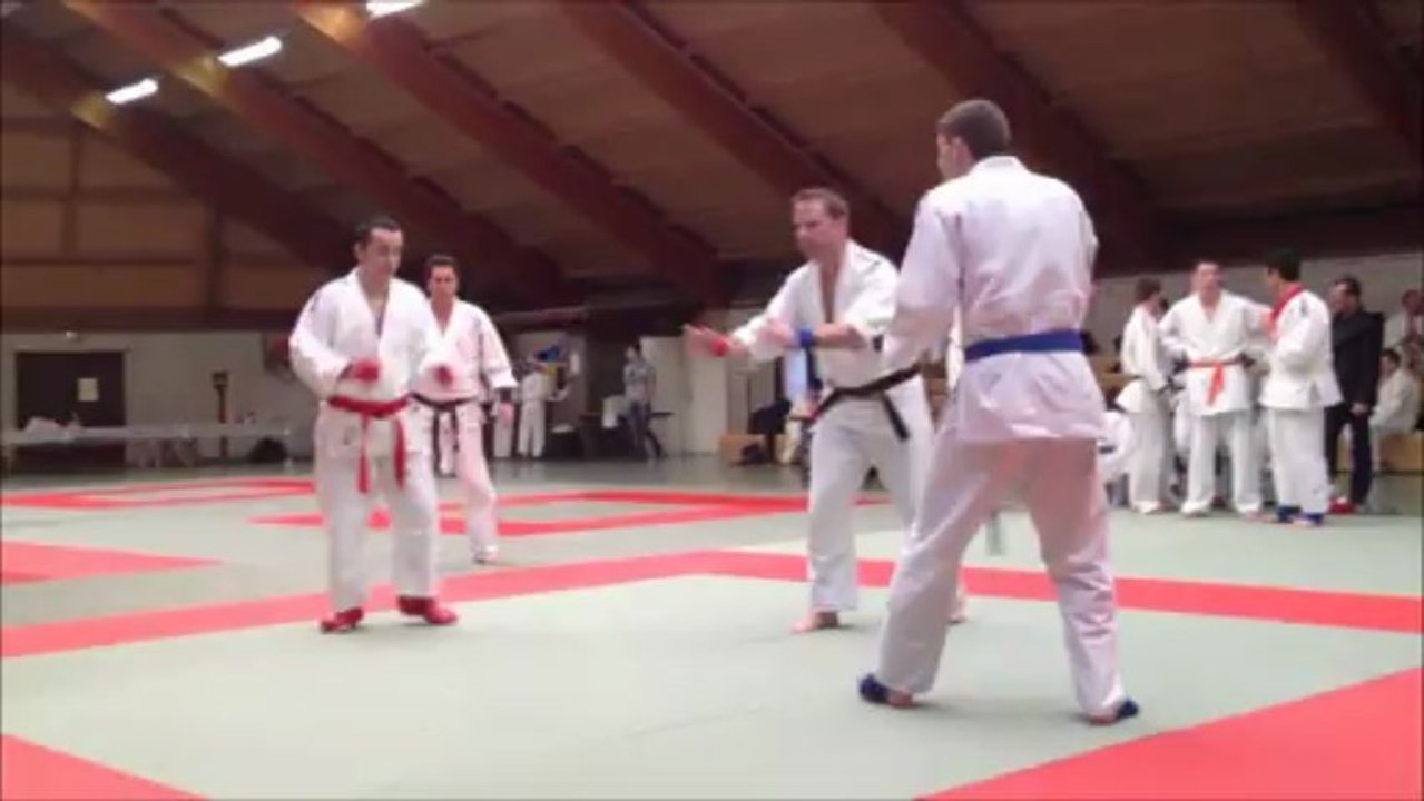 Jujitsu Fighting Moselle