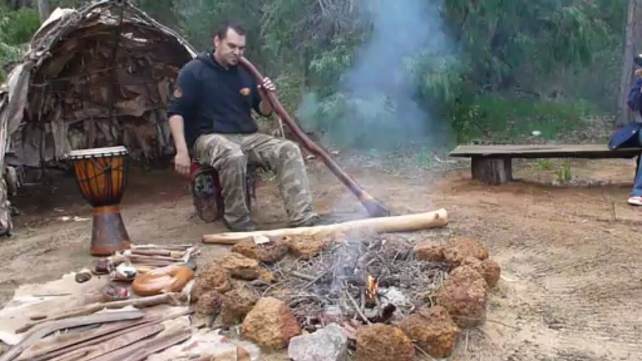 Vie animale vue par un Didgeridoo | Meltour