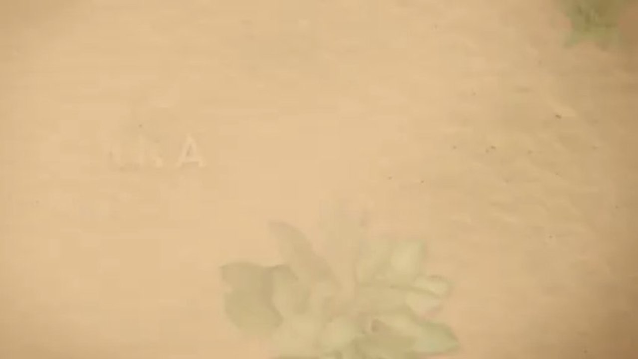 Solar Power Panels - Perth WA | (08) 9418 6004