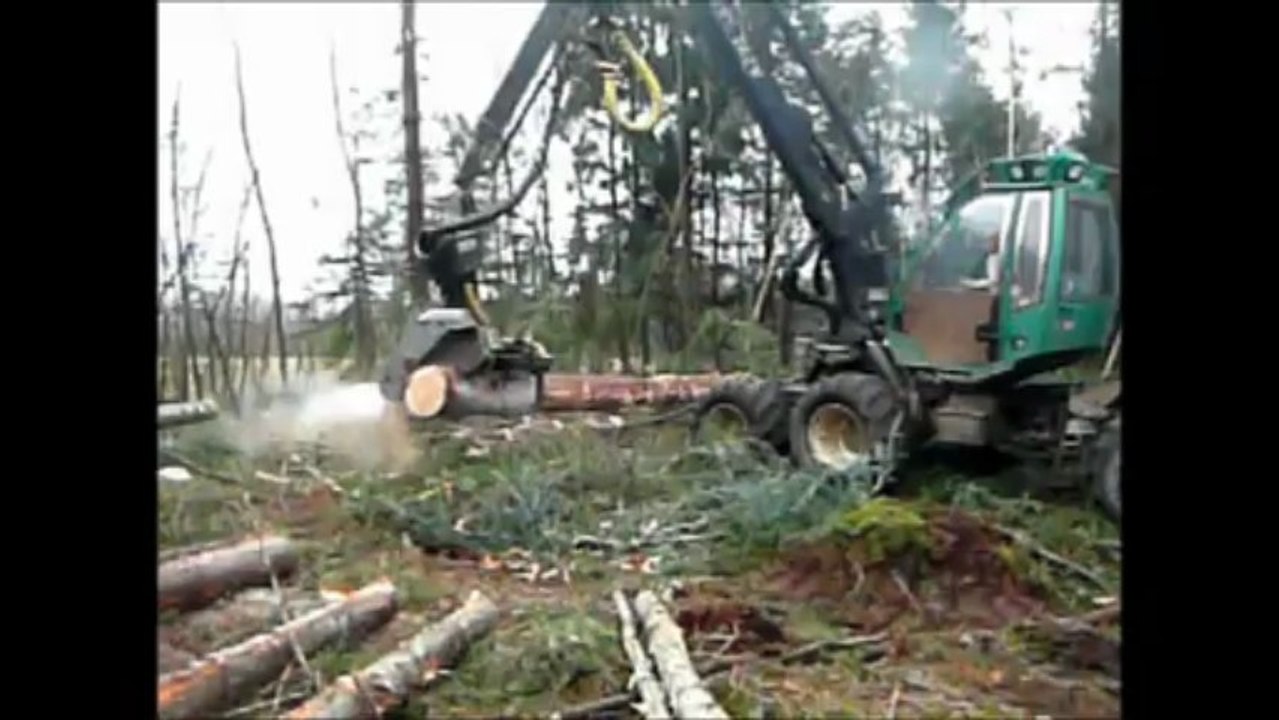 Boz. Mars 2013. Travaux forestiers