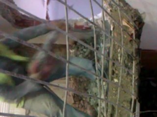 ASANSÖR BOŞLUK AÇIMI,İLAYDA İNŞAATADANA