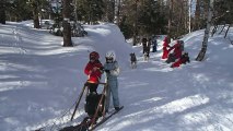 Ski-Snow-Chiens de traineaux