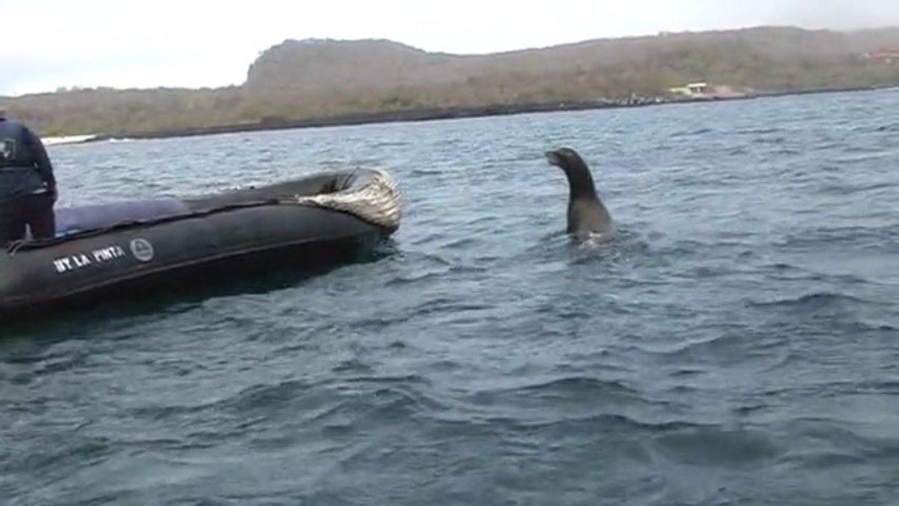 Dag 11: Guayaquil - Galapagos: San Cristobal 2/11/12
