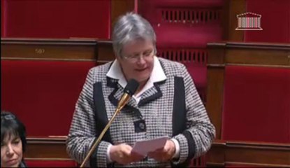 intervention de Sylvie Pichot sur la RN12
