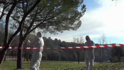 Very Bad Réno (parodie) - Quand on est expert