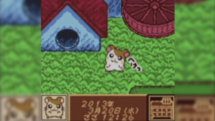 CGR Undertow - TOTTOKO HAMTARO: TOMODACHI DAISAKUSEN DECHU review for Game Boy Color