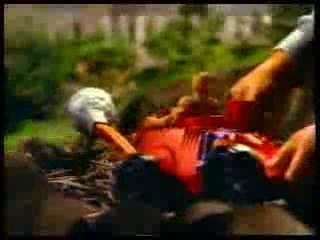 PUB MOTU - Bashasaurus