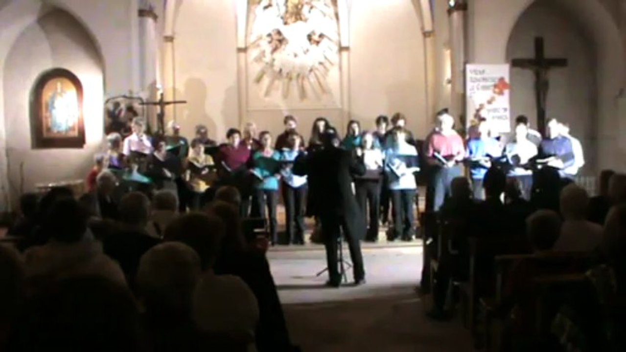 1-le barbier de seville concert  resto du coeur 2013