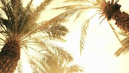 Dado Polumenta - Ko zna gdje si - [Official HD Video]