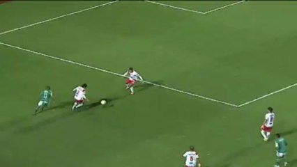 Campeonato Paulista: Palmeiras 2-0 Botafogo SP