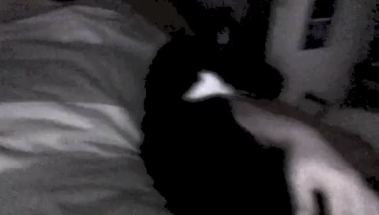 POUPIUNE