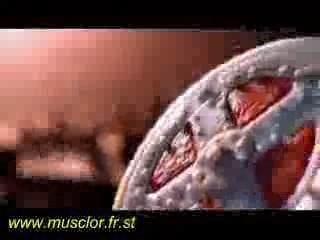 PUB MOTU 200X - intro he man