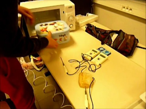 La mérule - Lycée Vaucanson Tours - Concours C.Génial 2013