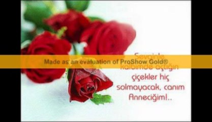 ALİ TEMEL  ÖZÜR DİLERİM ANNE