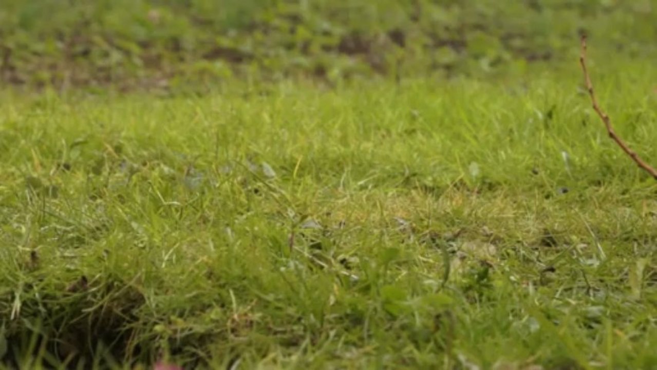 Radioactivité et environnement [documentaire sciences]