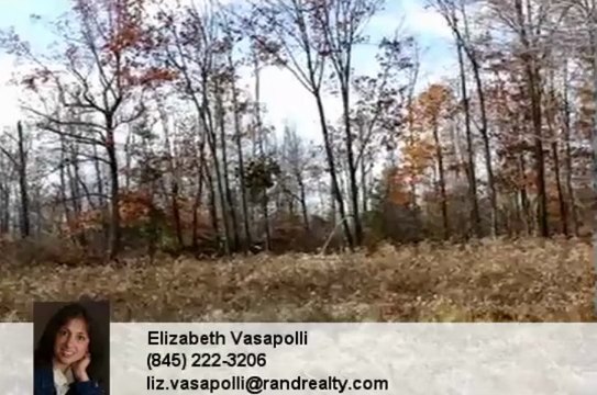 Homes for Sale - 233 Sands Rd Middletown NY 10941 - Elizabeth Vasapolli