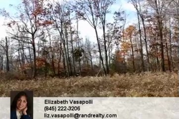 Homes for Sale - 233 Sands Rd Middletown NY 10941 - Elizabeth Vasapolli