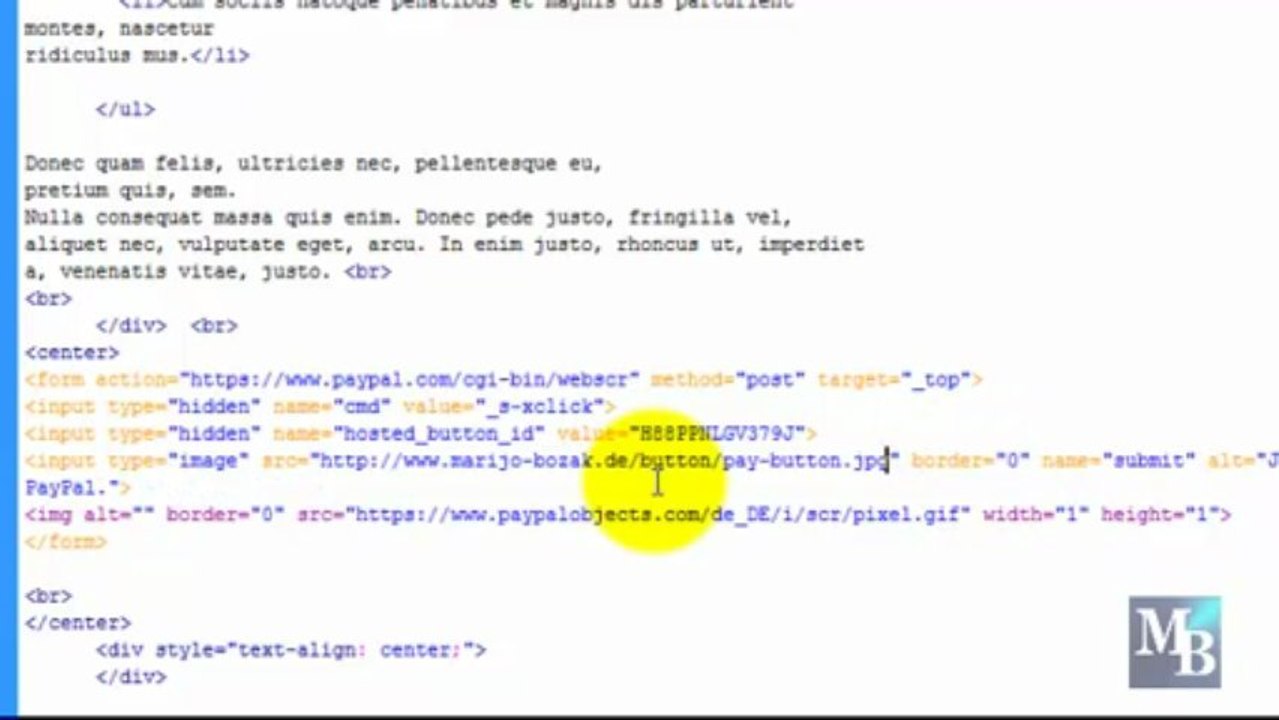 Eigenen individuellen paypal button erstellen und in deine salespage einfügen