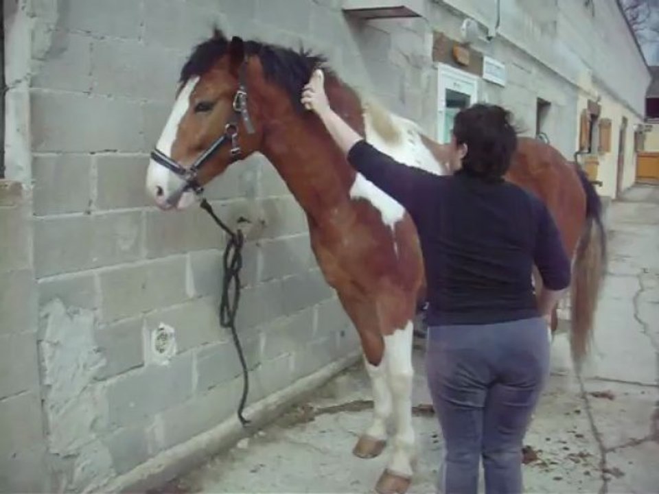 Fait "aaaaaaa" ! Lol !