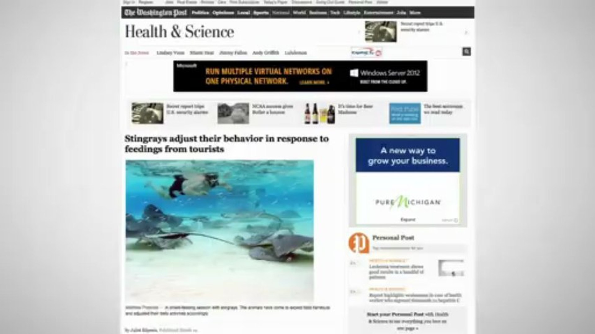 ⁣Feeding Stingrays Leading to Behavior Changes Including Unwanted Pregnancies