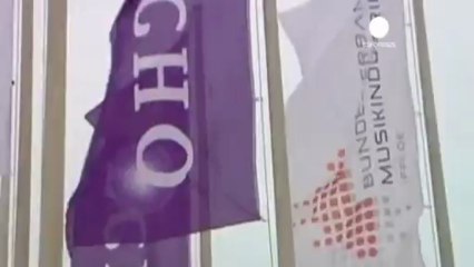 Echo Awards 2013 ai Toten Hosen