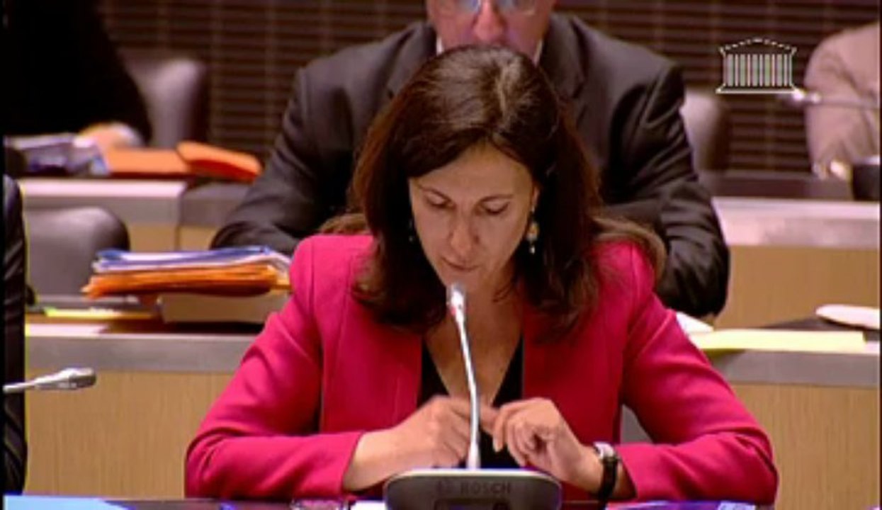 débat sur le rapport annule de la cour des comptes 2013