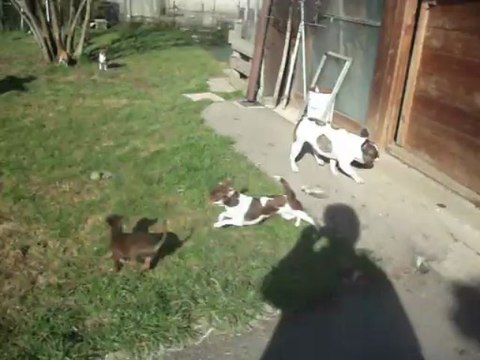 éve avec ses chichis (j'adore)