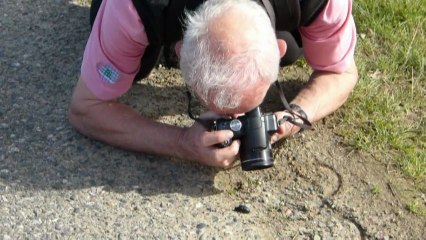 Le Printemps est arrivé !