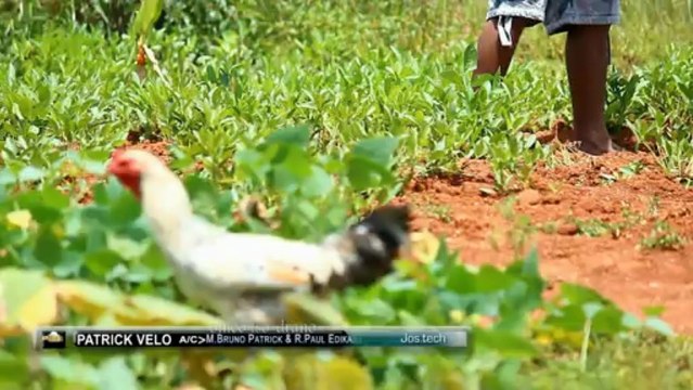 Patrick Velo Omeo tso-drano