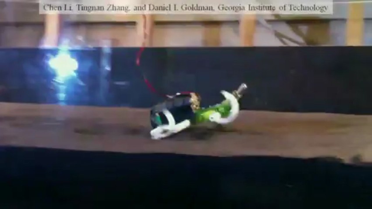 Robot lézard
