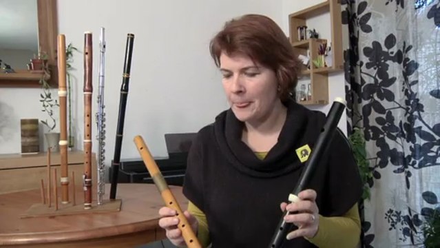 Dis moi de quoi tu joues : Flûte traversière