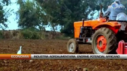 Industria Agroalimentaria, enorme potencial africano