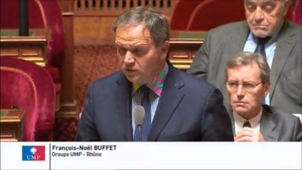 François-Noêl Buffet, Sénateur du Rhône : Budget de la défense