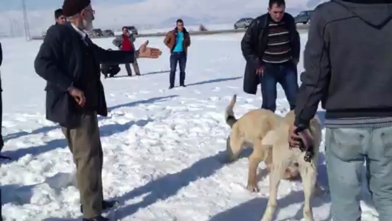 Erzurumdan Katil ve Haydut