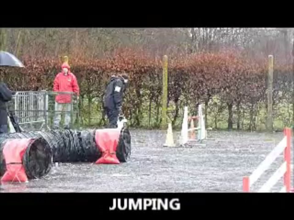 Concours agility Saint romain de Colbocs 17 Mars 2013